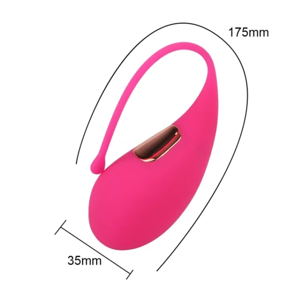 Vibrating Egg Dolphin Shape 10 Modes Vibrators Sex Toys for Women G Spot Massage Vaginal Stimulator Wireless Remote Control